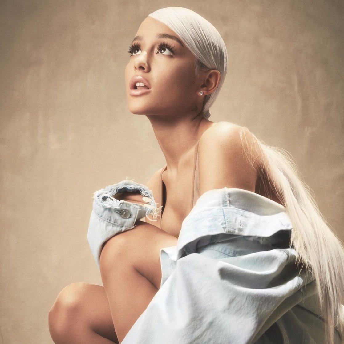 arianas net worth after sweetener