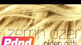 Zerrin Özer - Giden Gitti