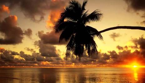 3 Hours of Studying Music - Concentration Music