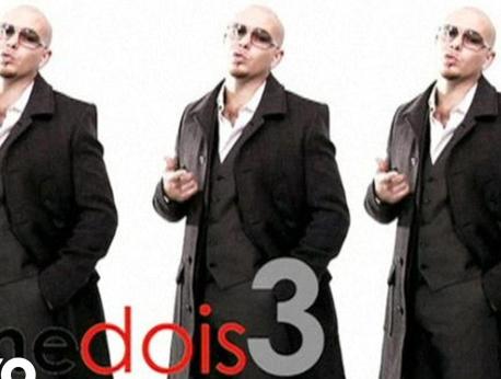 Pitbull Music Photo