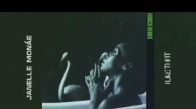 Janelle Monae  - I Like That (Fabich Remix)