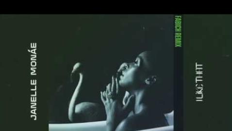 Janelle Monae  - I Like That (Fabich Remix)