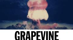 Tiësto - GRAPEVINE (Audio)