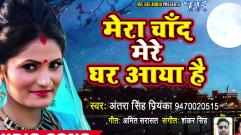 Antra Singh Priyanka - Mera Chand Mere Ghar Aaya Hai