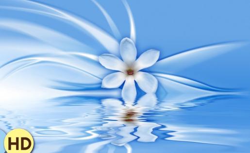 Spiritual Sounds: Zen Sounds, Best Relaxing Spa Music, Buddha Dreamer, Inner Peace, Massage