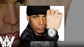 Gata Diferente - Wolfine (Audio)