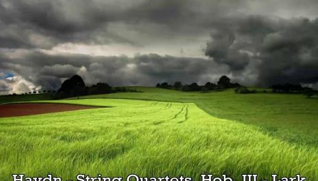 Haydn - String Quartets Hob III - Lark