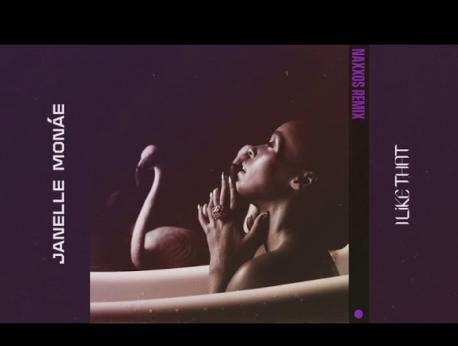 Janelle Monáe Music Photo