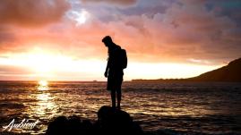 Josh Alexander - Canter