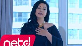 Seyhan Güler - Sensizlik Yazmıyor Aşk Kitabımda