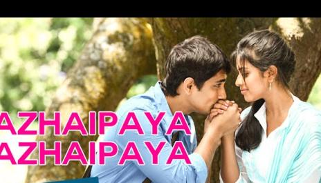 Azhaipaya Azhaipaya Video Song | Kadhalil Sodhapuvadhu Yeppadi | Siddarth, Amala Paul