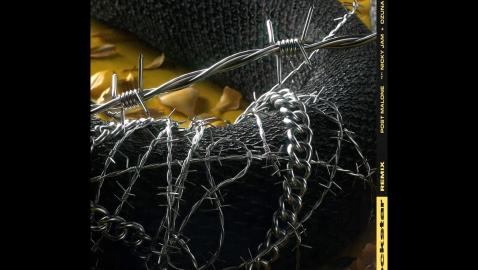 Post Malone Feat. Nicky Jam & Ozuna - Rockstar (Latin remix)