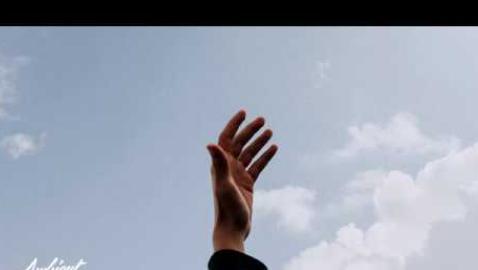 Borrtex - Falling Into Presence