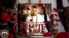 Ozuna - Si No Te Quiere Remix feat. Arcangel & Farruko (Audio)