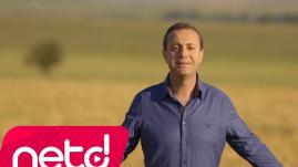 Ali Kurtuluş Şaylı - Harmana Sererler Sarı Samanı
