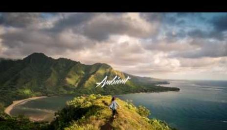 Delectatio - Broken World