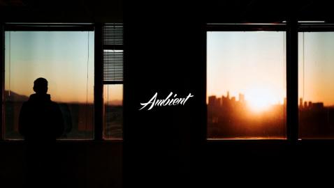 Endless Melancholy - Like A Sudden Glimpse Of Shimmering Light