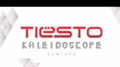 Tiësto feat Emily Haines - Knock You Out (Mysto & Pizzi Remix)