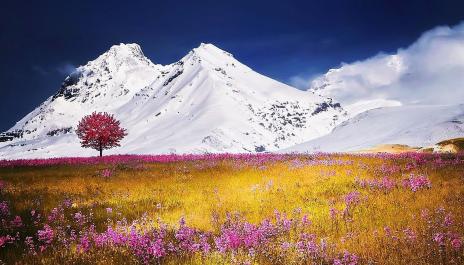 Relaxing Mozart for Studying #16 Classical Music for Studying, Reading, Work, Concentration