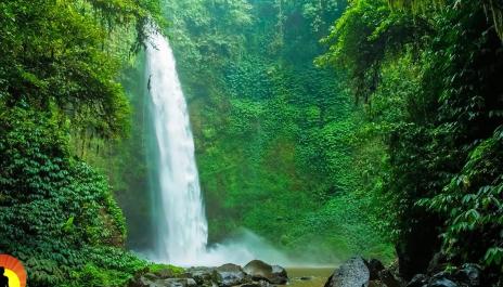 Meditation Music, Study Music for Concentration, Instrumental Music, Classical Music