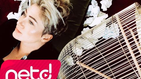 Mavi - Kayık Tabaklar