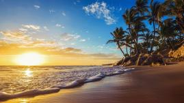 Calm Background Relaxing Music with Ocean and Bird Sounds