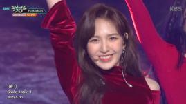 Red Velvet 레드벨벳 Comeback Stage 'Butterflies’ KBS MUSIC BANK 2018.11.30