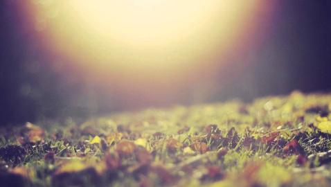 Audialist - Manna (Tacit remix)