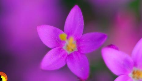 Music for Sleeping, Soothing Music, Stress Relief, Go to Sleep, Background Music, 8 Hours