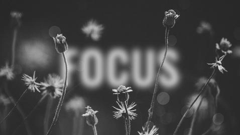 Deorro - Focus (feat. Lena Leon) (Lyric Video)