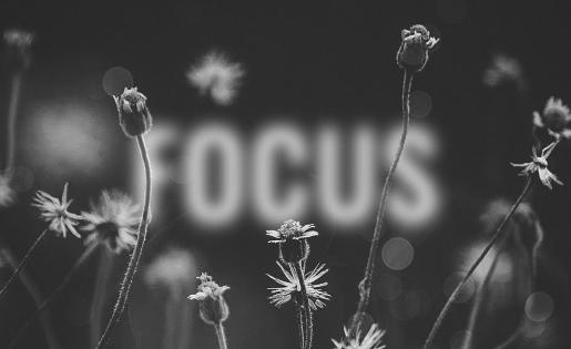 Deorro - Focus (feat. Lena Leon) (Lyric Video)