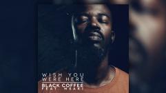 Black Coffee - Wish You Were Here (feat. Msaki)