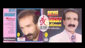 Seyfi Doğanay - Meyhaneci
