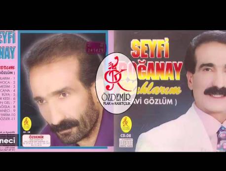 Seyfi Doğanay Music Photo
