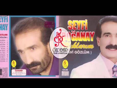 Seyfi Doğanay Music Photo