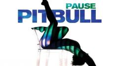 Pitbull - Pause (Audio)