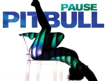 Pitbull Music Photo