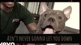 Colbie Caillat - Never Gonna Let You Down