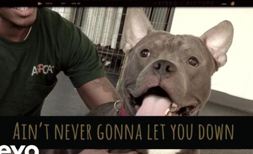 Colbie Caillat - Never Gonna Let You Down