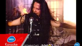 หิน เหล็ก ไฟ - นางแมว (Karaoke)