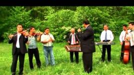 Costica Boieru - Am iubit in viata mea (muzica de petrecere)