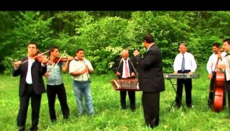 Costica Boieru - Am iubit in viata mea (muzica de petrecere)