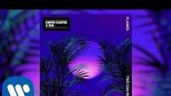 David Guetta & Sia - Flames (Two Can Remix)