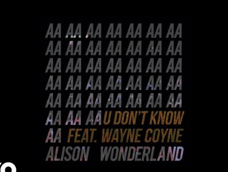 Alison Wonderland Music Photo