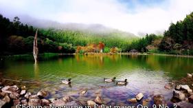 Chopin - Nocturne in E flat major Op. 9 No. 2