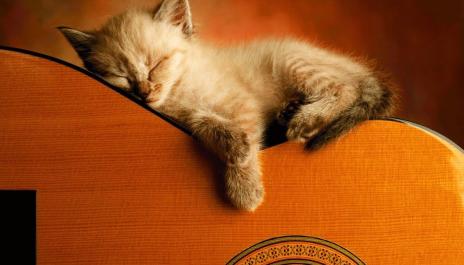 Ultimate Relaxing Guitar Music Collection