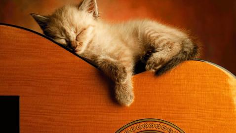 Ultimate Relaxing Guitar Music Collection