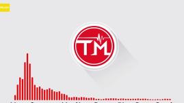 Martin Garrix - Dreamer (feat. Mike Yung) (Nicky Romero Remix)