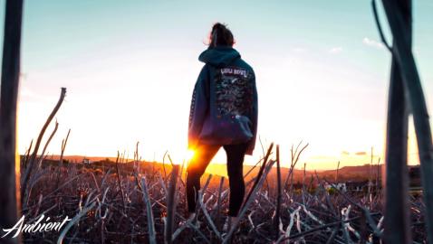 Oak Meadow - Moving On