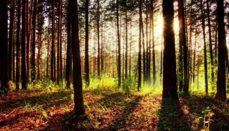 Meditation, Healing Music, Relaxation Music, Chakra, Relaxing Music for Stress Relief, Rela